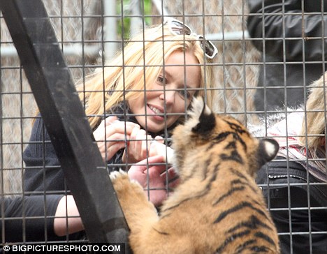 Кайли Миноуг в зоопарке кормит тигренка
